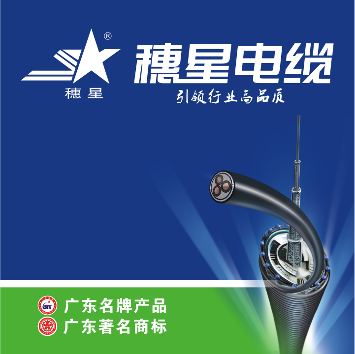 廣州電纜：SGS 助推電線電纜行業(yè)綠色開展